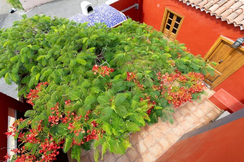 Rural House With Traditional Architecture S. XIX Santa Cruz de Tenerife Exterior foto